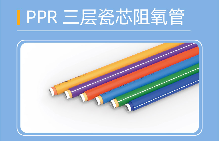 大弯系统